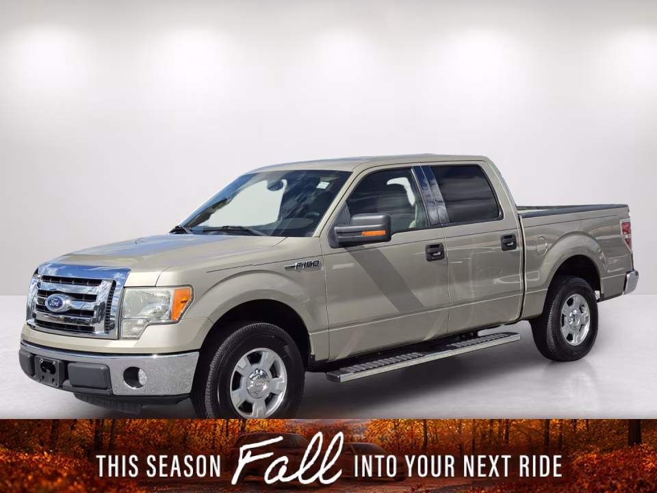 2010 Ford F-150